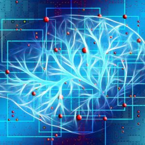 מבחן וודקוק ג'ונסון